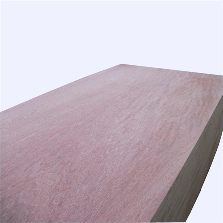 High Plywood Press Pressure Treated Cheap Price Good Quality