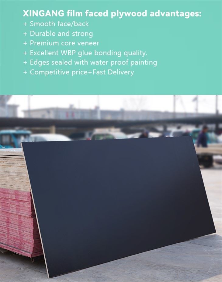 High Qulaity Film Faced Plywood Big Size