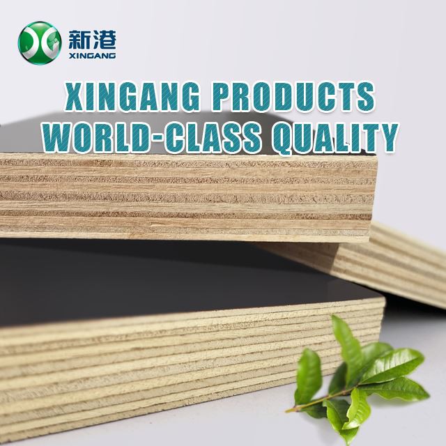 Hot Sale 18mm Black Film Faced Plywood Formwork Construction Plywood