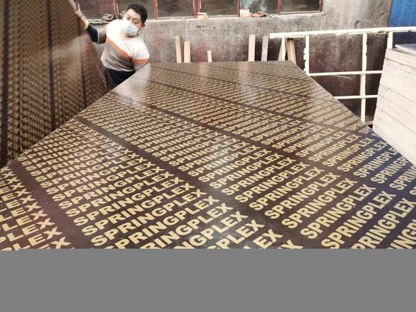 Marine Construction Formwork Phenolic Board Laminated Sheet Premium Quality