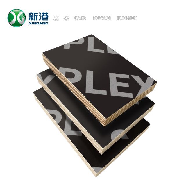 Marine Plywood Flm Faced Plywood 12mm 15mm 18mm Supplier Xingang