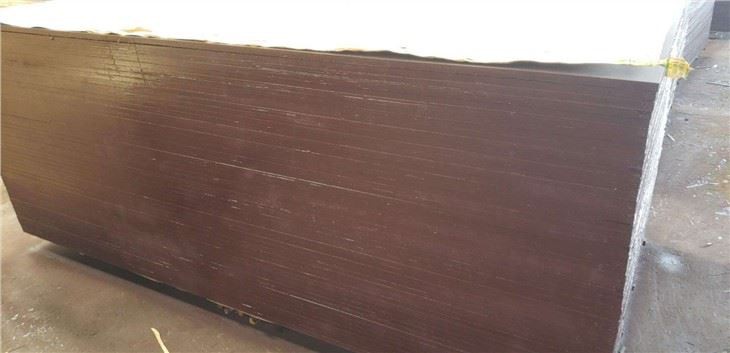 Marine Plywood Supplier-Xingang Global Group