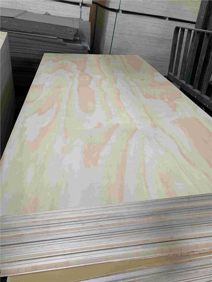 Melamine Glue / Engineered Veneer / Commercial Plywood / XINGANG / CHINA