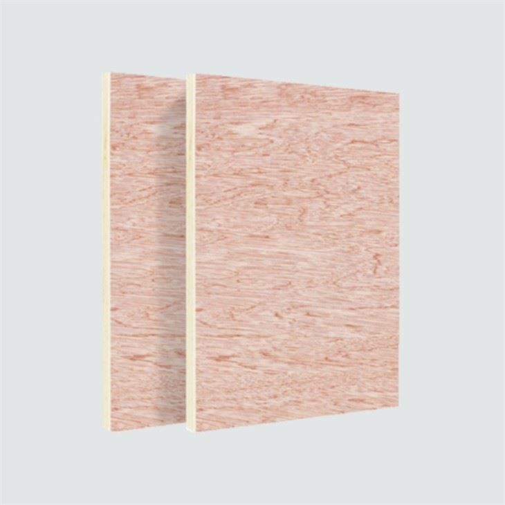 Natural Veener Plywood Industry Plain Board For Commercial Use