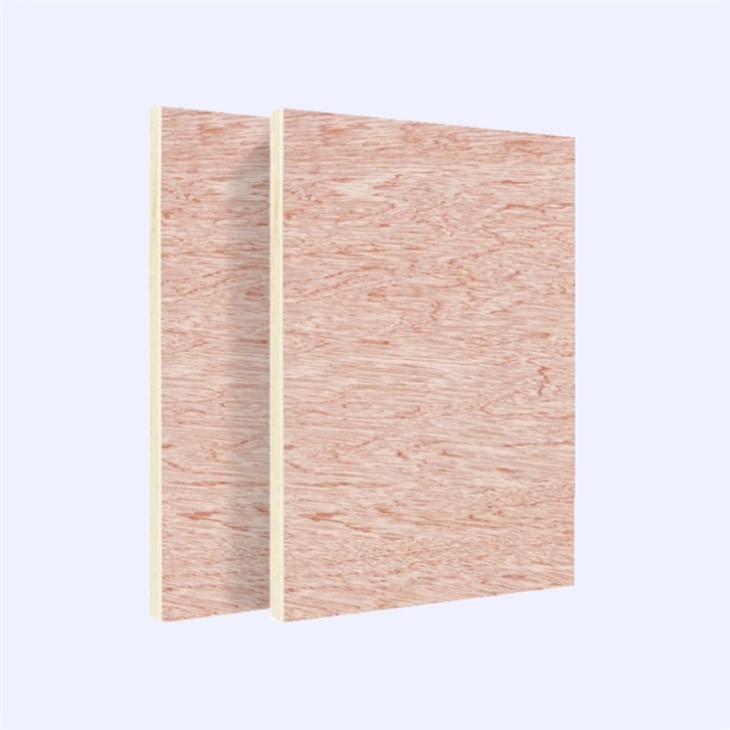 Natural Veneer Plywood Sheet China Plywood Prices Cost Effective