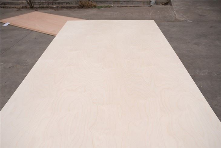 Pencil Cedar Plywood Commercial Plywood