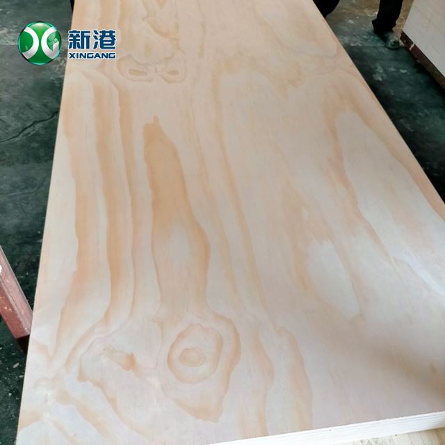 Peru Chille Pine Plywood C+/C+ Construction Best Quality