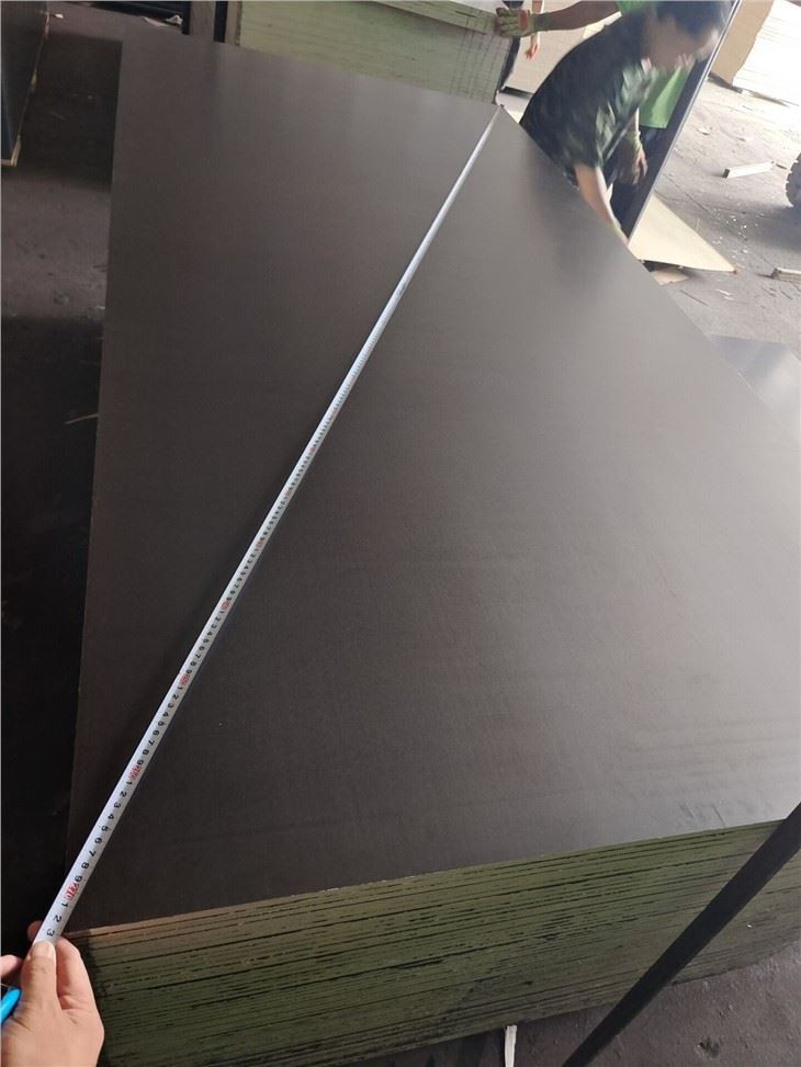 Phenolic Plywood Film Faced Plywood 15mm