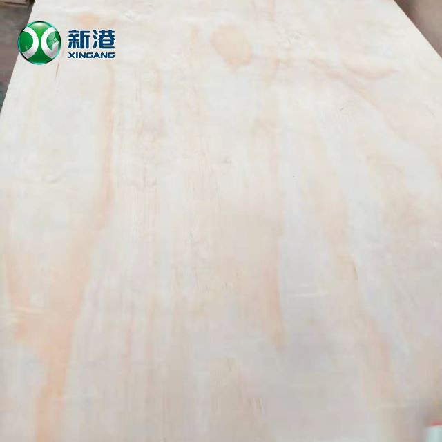 Pine Plywood WBP