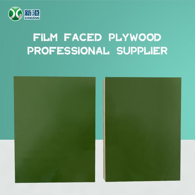 Plastic Formwork Plywood Green Pp Plastic Plywood Pvc Laminated Plywood