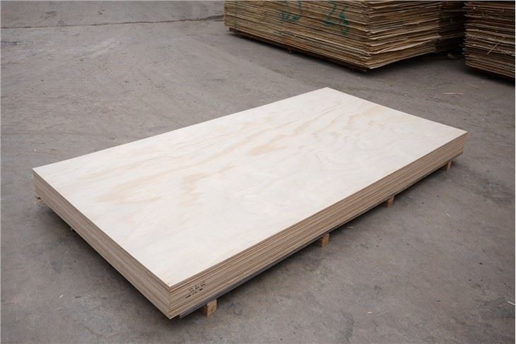 Poplar Commercial Plywood