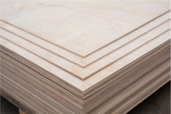 Poplar Commercial Plywood