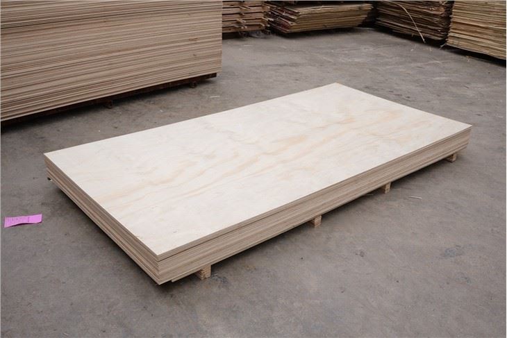 Poplar Commercial Plywood