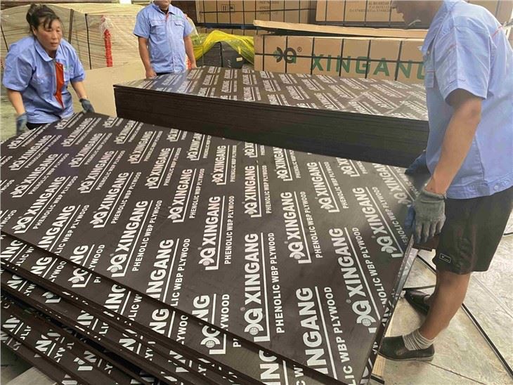 Poplar Panels Plywood