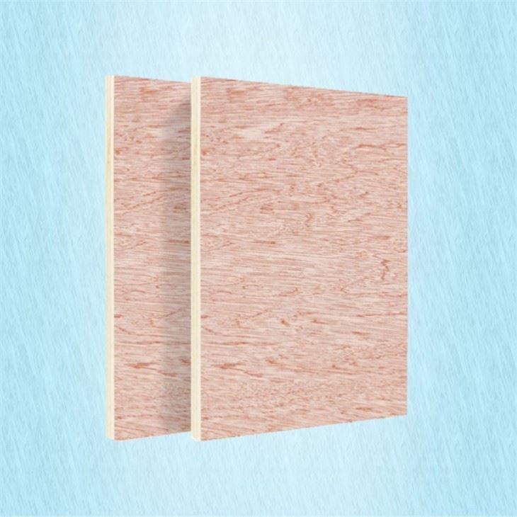 Poplar Plywood 18mm Board Plywood Cold Press Normal Quality