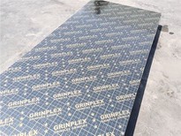 1220x2440x18mm Fenolico Film Faced Plywood