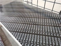 16.5mm Film Faced Plywood