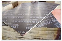 18mm Building Plywood Marterials With Best Prices