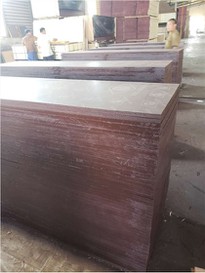 18mm Film Faced Plywood Factory Price