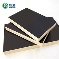 Formwork poplar plywood