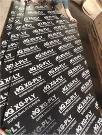 18mm High Quality Film Faced Plywood For Saudi Arabia