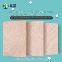 18mm Okoume Commercial Plywoood