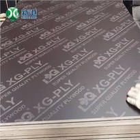 18mm Phenolic Formwork Plywood