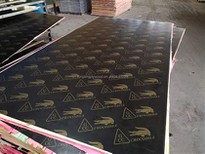 4*x8* Film Faced Plywood