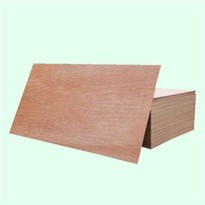 Best Cost Effective Bintangor Commercial Plywood Sheet Hot On Sale