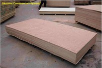 Bintangor / Commercial Plywood / XINGANG / CHINA