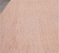 Bintangor Venner Plywood