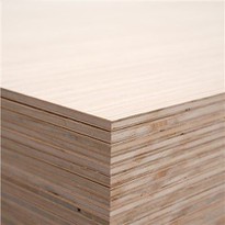 Black/Brown Film Faced Plywood, Marine Plywood, Construction Plywood, Phenolic Plywood
