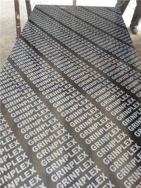 Black Film Finger Joint Plywood Supplier -China