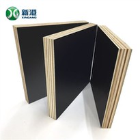 Good Phenolic Glue Film Faced Plywood
