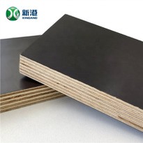 Black Film Plywood
