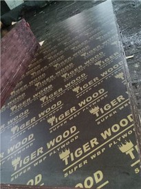 Brich Plywood With Phenolic Glue Boling Time 72 Hours