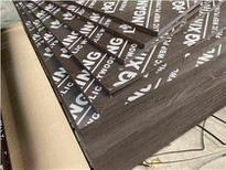 Brown Melamine Paper Plywood