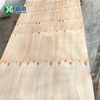 CDX Pine Plywood With Scar