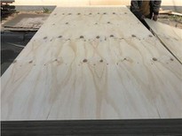 CDX Pine Plywood