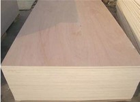 China Plywood Manufacturer /factory -Xingang Global Group