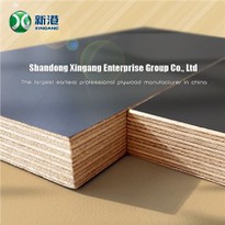 Construction Formwork Board