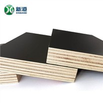 Construction Plywood 18mm