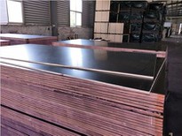 Construction Plywood For Building Materials