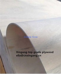 Curved Molded Plywood Hot Sale 3mm Poplar Core Marine Flexible Curved Plywood