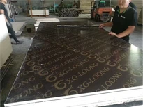 Factory Price 18mm Black,green,brown Film Faced Plywood For Construction Material