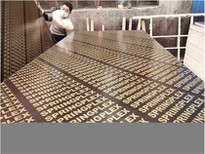 Film Faced Building Construction Formwork Plywood