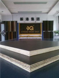 Film Faced Plywood 1250x2500mm