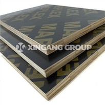 Film Faced Plywood Finger Joint