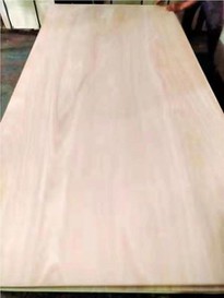 FULL EUCALYPTUS PLYWOOD FOR FURNITURE
