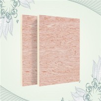 High Plywood Press Pressure Treated Cheap Price Good Quality